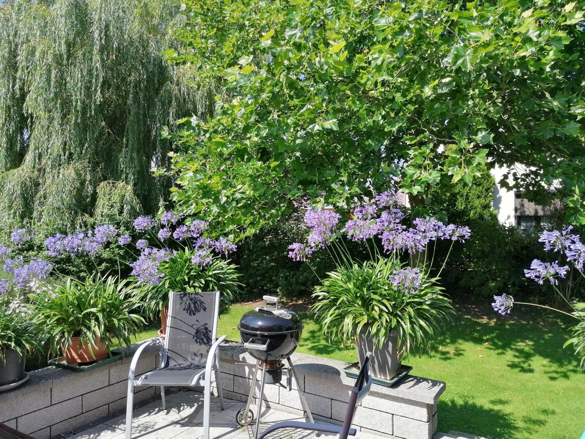 Pension Haus Anneliese Uckeritz Kültér fotó