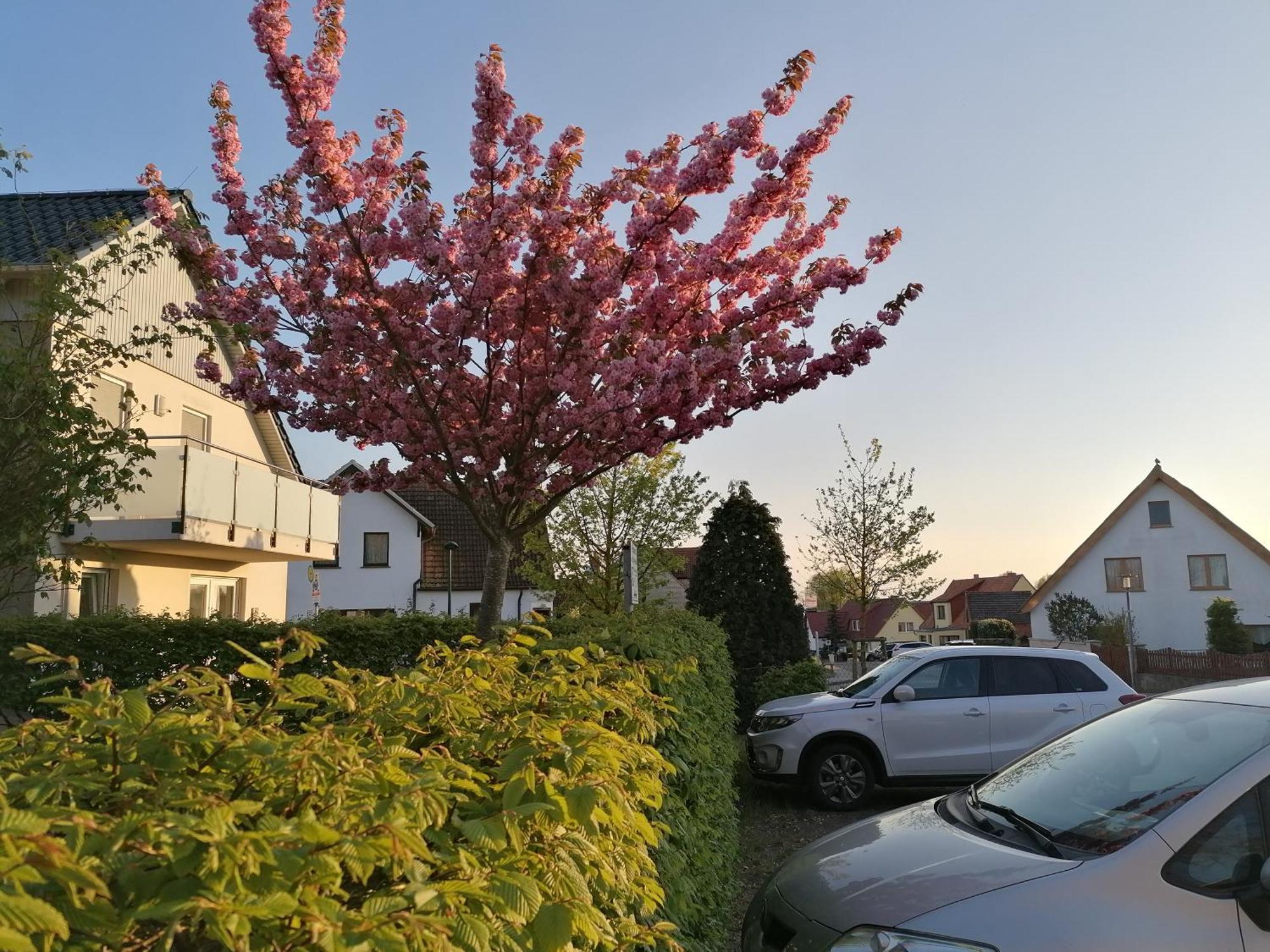 Pension Haus Anneliese Uckeritz Kültér fotó
