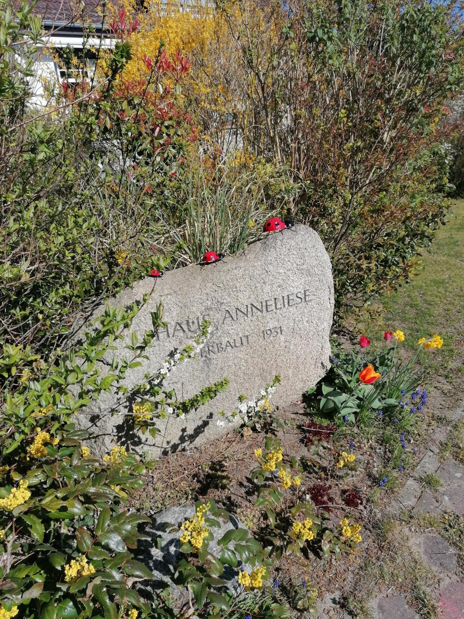 Pension Haus Anneliese Uckeritz Kültér fotó